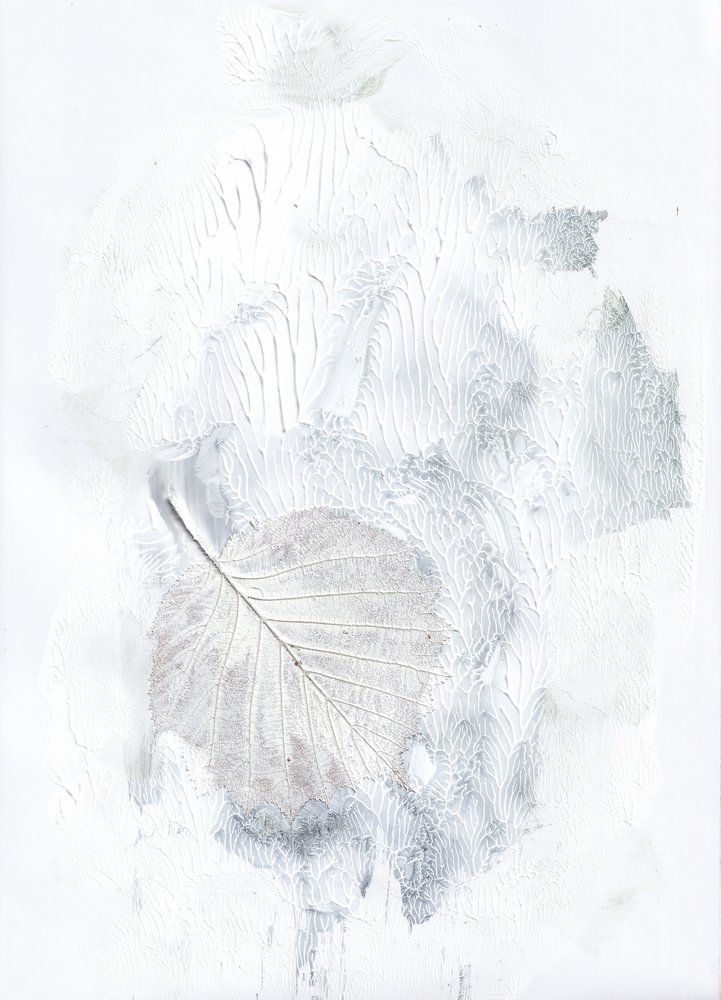  - Maira Ribena