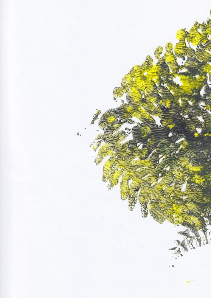 Texture vert vif - Maira Ribena