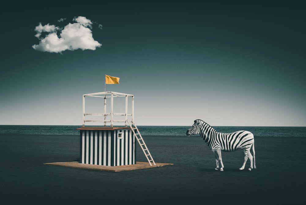 Zèbre de la plage surréaliste - Marcus Hennen