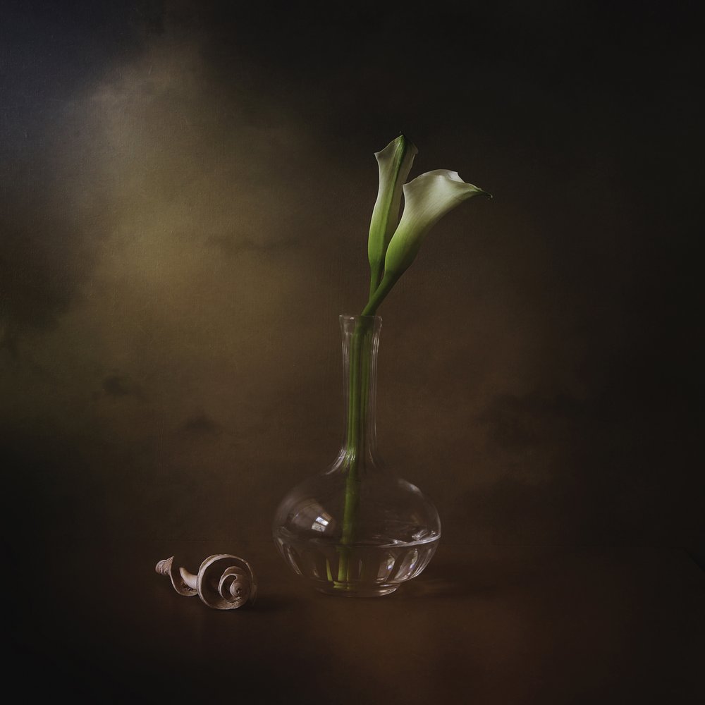 Élégants lis calla - Margaret Halaby