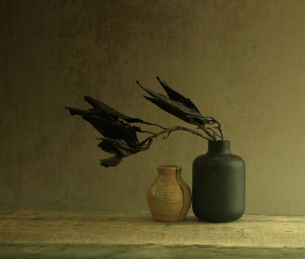 Nature morte minimaliste aux feuilles - Margaret Halaby