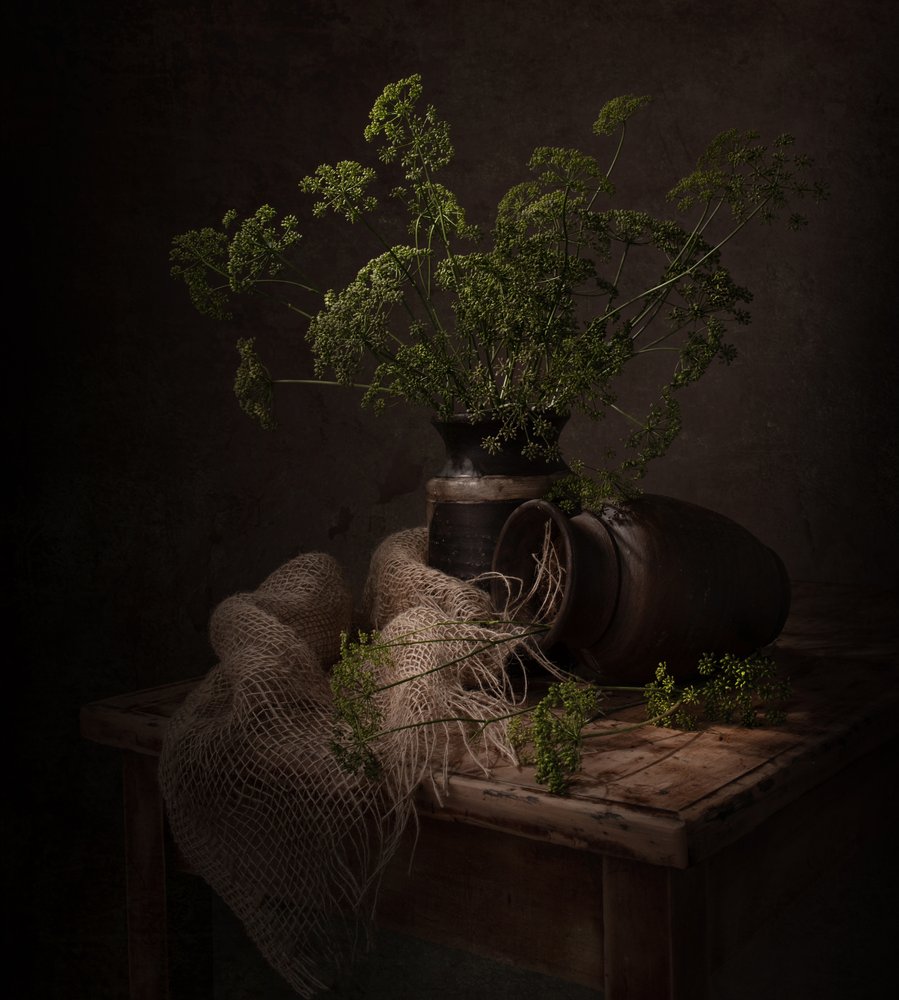 Nature morte botanique sombre - Margareth Perfoncio