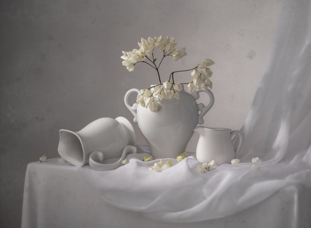 Nature morte blanche élégante - Margareth Perfoncio