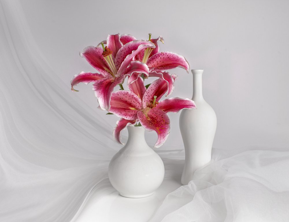 Lys roses dans des vases blancs - Margareth Perfoncio