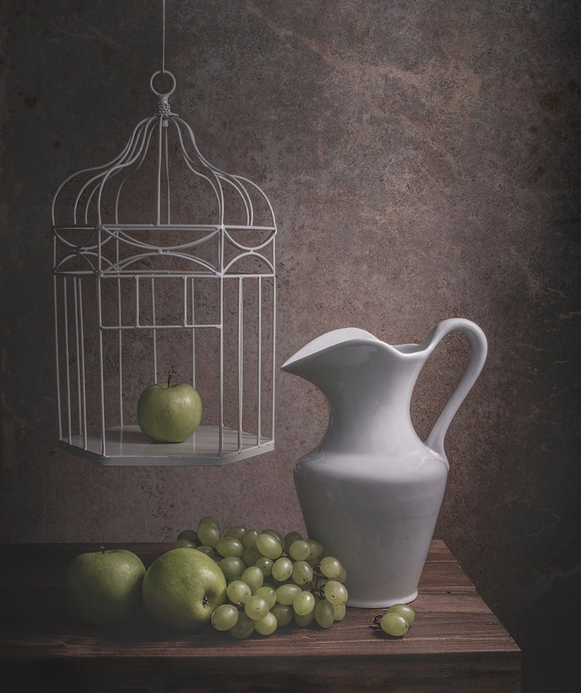 Nature morte rustique avec cage à oiseaux - Margareth Perfoncio