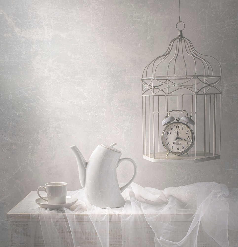 Le temps passé en cage - Margareth Perfoncio