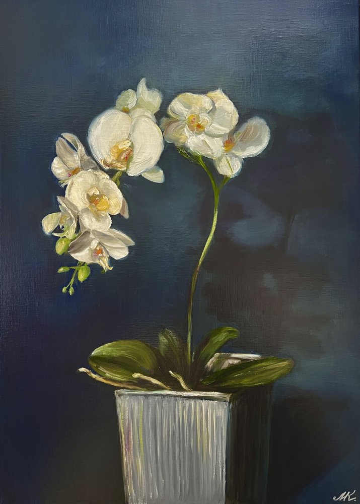 Élégante orchidée en pot - Marina Kozyr