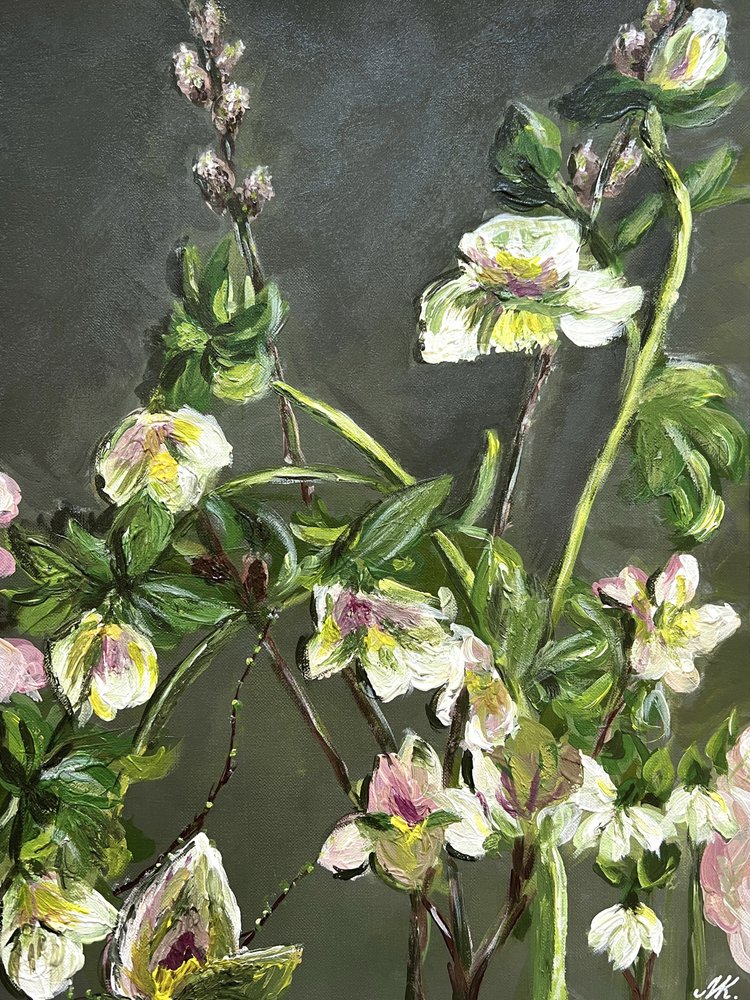 Fleurs d
