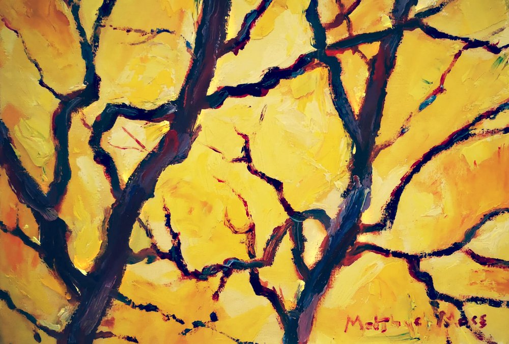 Branches d