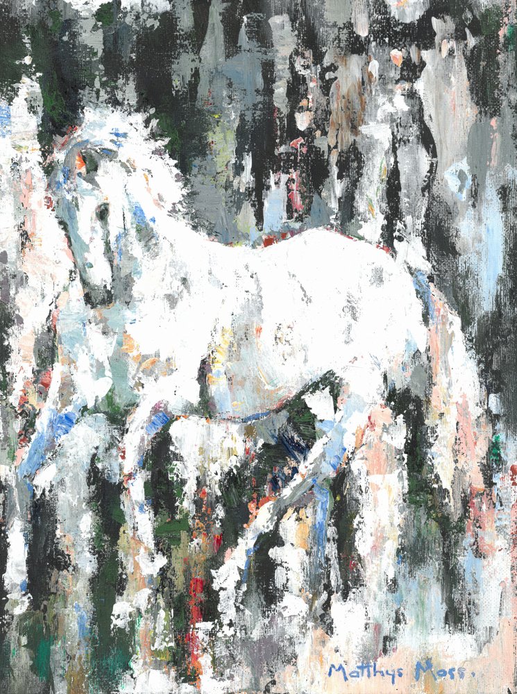 Le cheval blanc fougueux - Matthys Moss