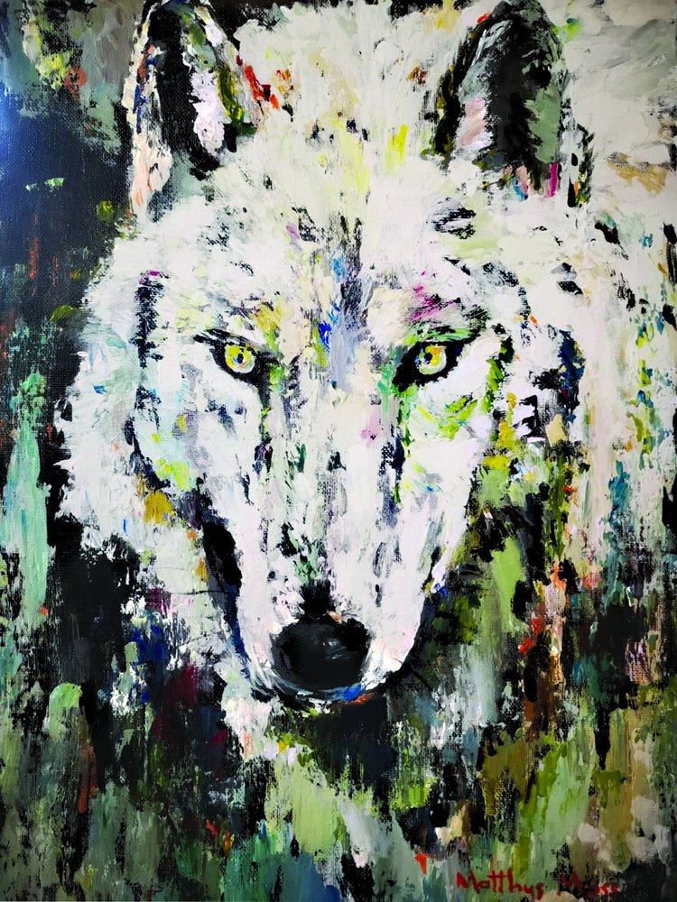 Le regard du loup blanc - Matthys Moss