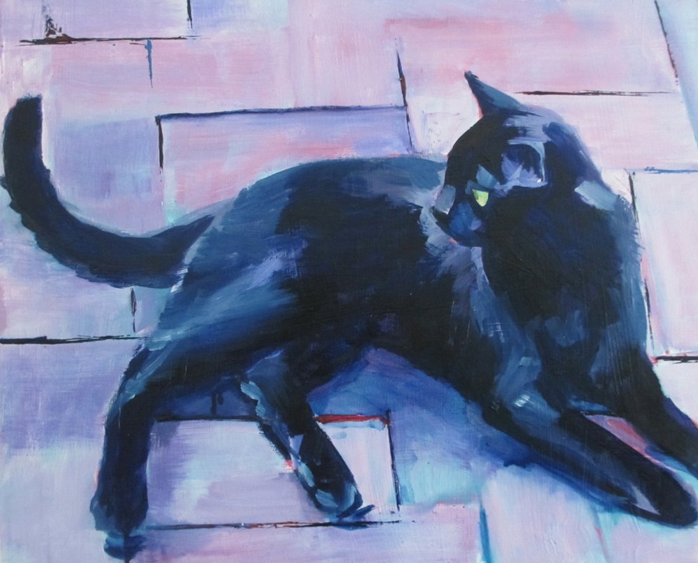 Chat noir, sol violet - Maxine Shore