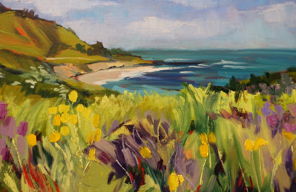 Prairie de fleurs sauvages côtières - Maxine Shore