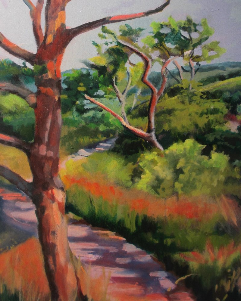 Sentier forestier ensoleillé - Maxine Shore