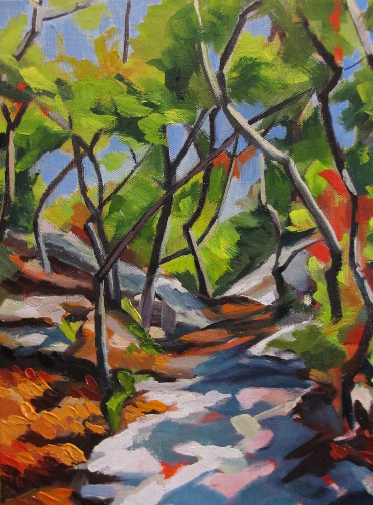 Promenade dans une forêt ensoleillée - Maxine Shore