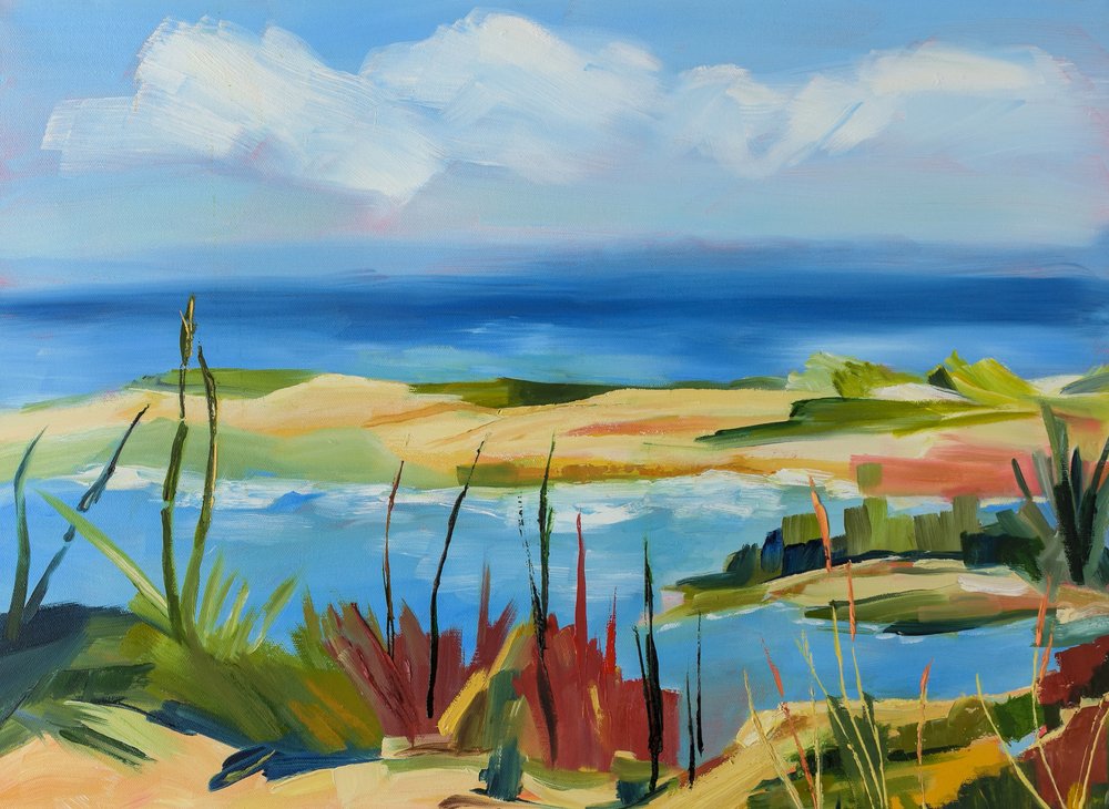 Des dunes côtières pleines de vie - Maxine Shore