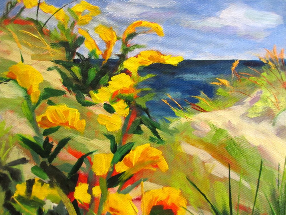 Fleurs des dunes jaunes - Maxine Shore