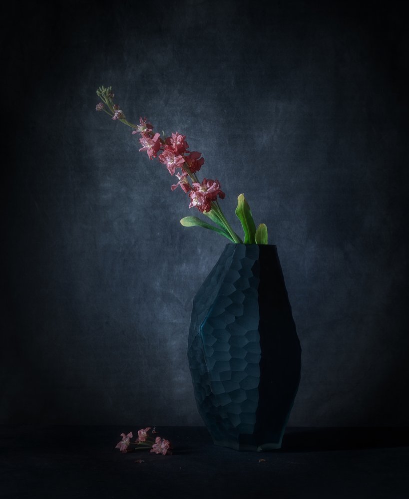 Élégance florale sombre - May G