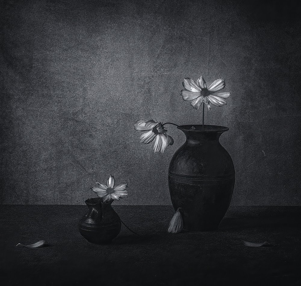 Nature morte florale fanée - May G