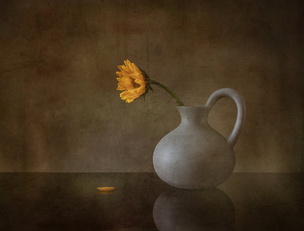 Fleur jaune mélancolique - May G