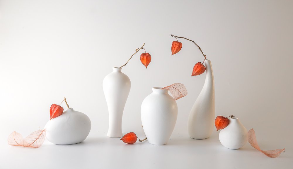 Nature morte aux physalis orange - May G