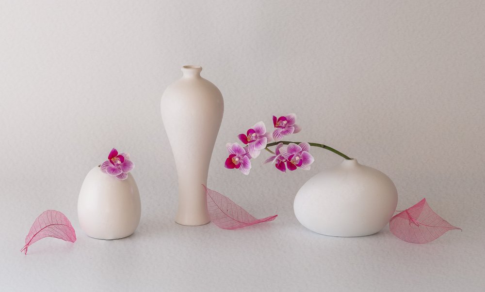 Nature morte aux orchidées roses - May G