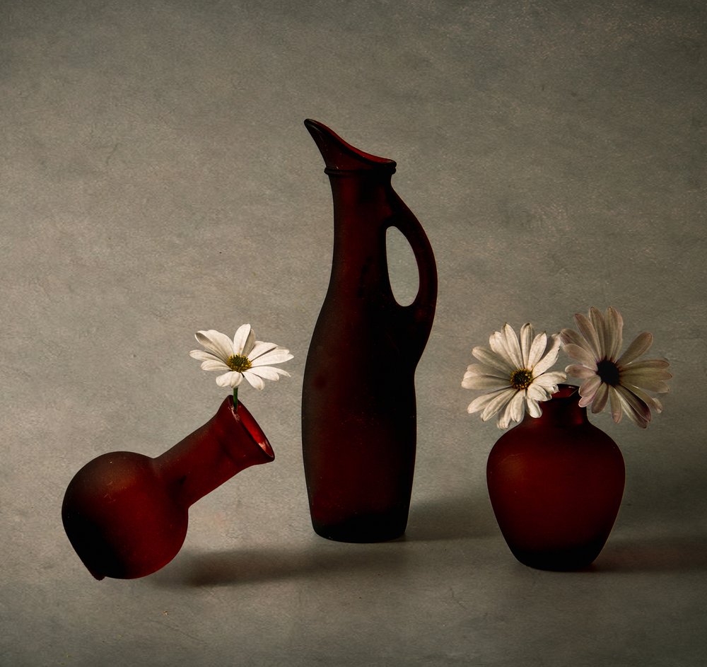 Vases rouges, marguerites blanches - May G