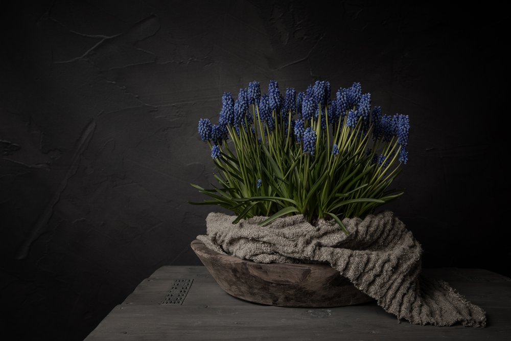 Fleurs bleues rustiques - Mayra Pama