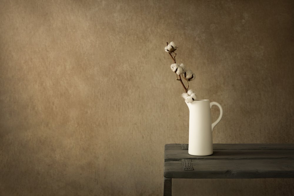 Nature morte rustique au coton - Mayra Pama