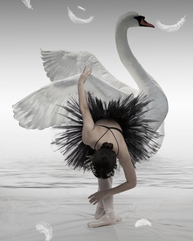 La ballerine du Cygne noir - Mieke