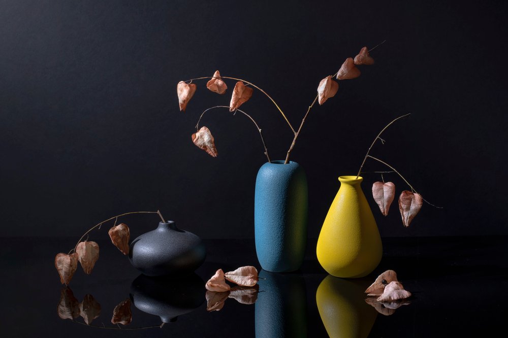 Vases botaniques contemporains - Ming Chen
