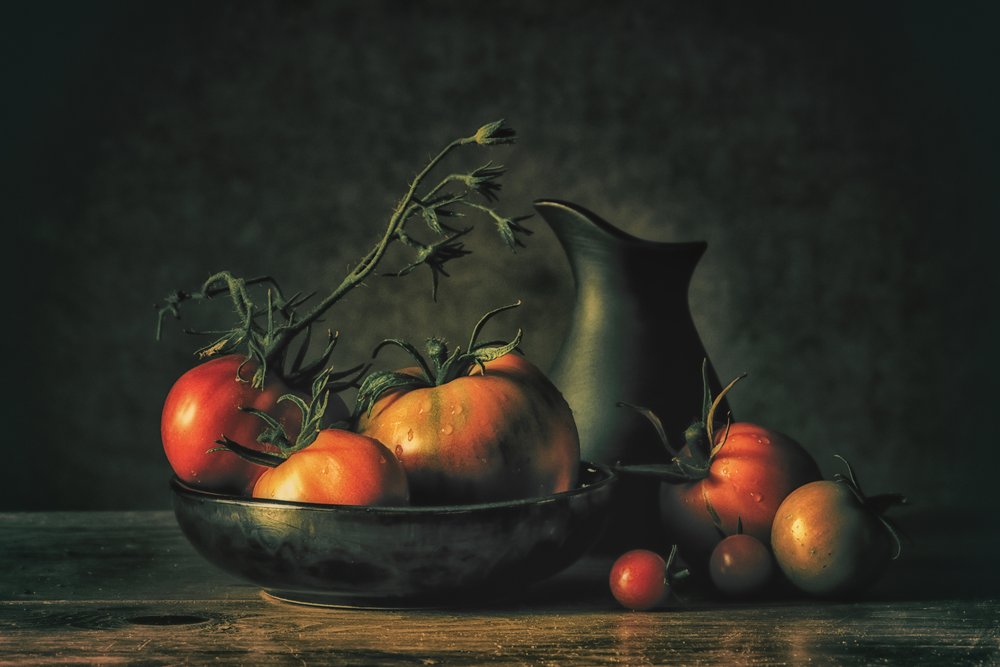  - Monique van Velzen