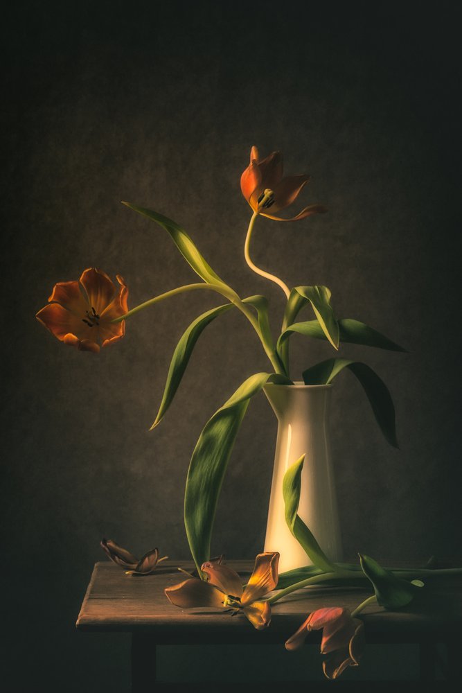  - Monique van Velzen