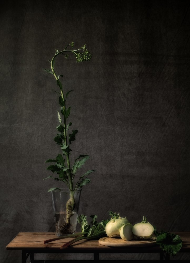  - Monique van Velzen