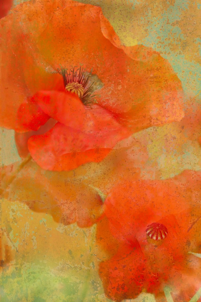  - Monique van Velzen