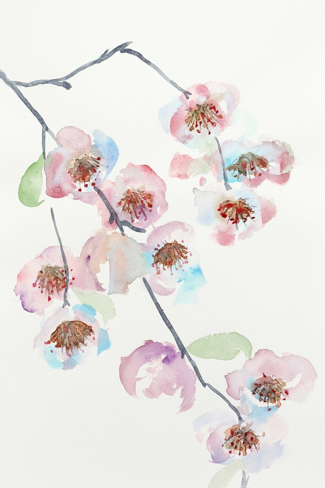 Fleurs roses délicates - Natalie Bruns
