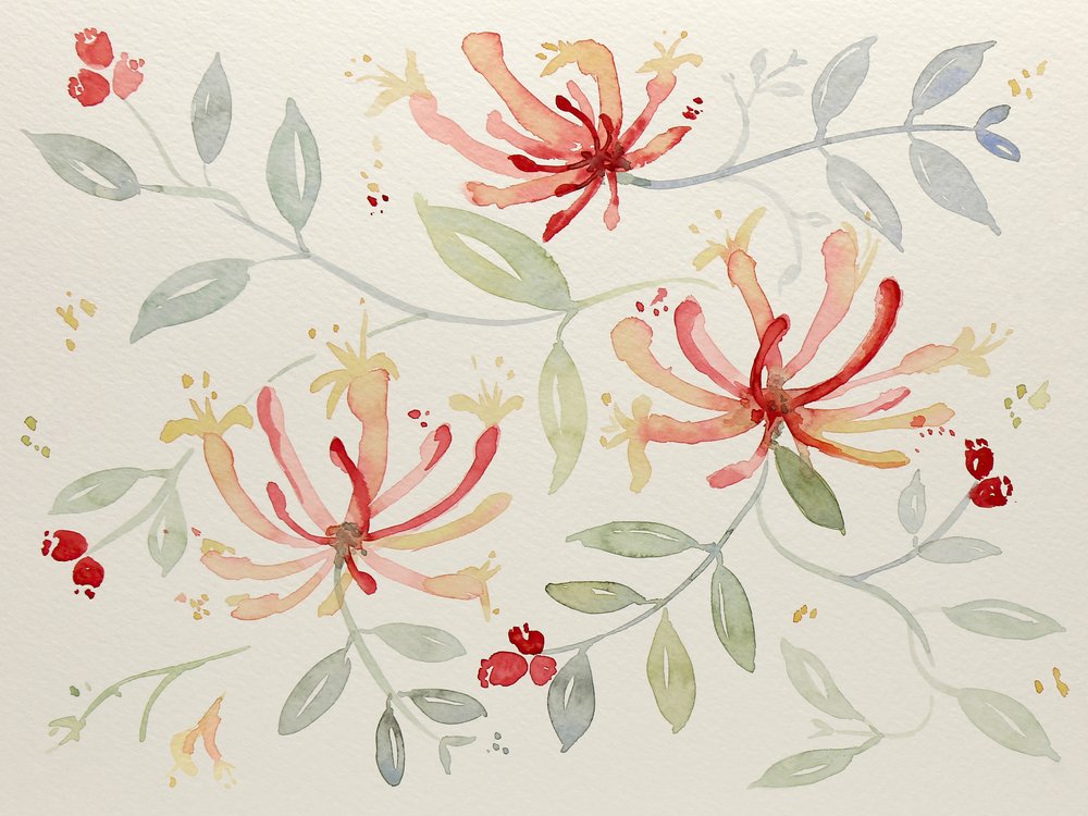 Délicates aquarelles botaniques - Natalie Bruns