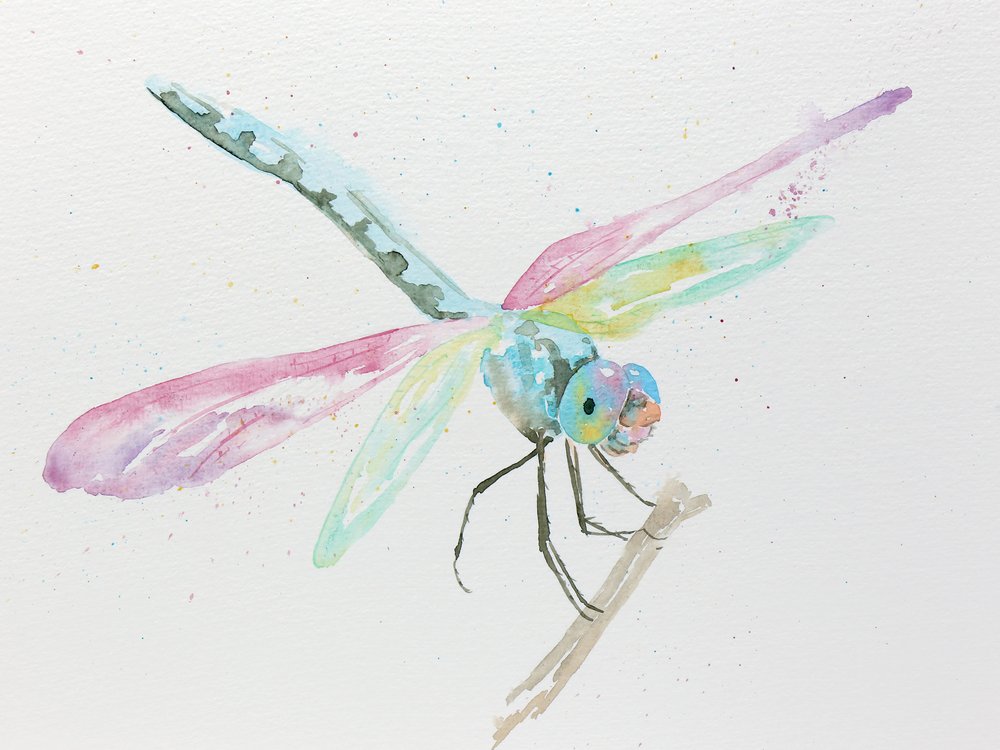 Des libellules sur une branche aux couleurs pastel - Natalie Bruns