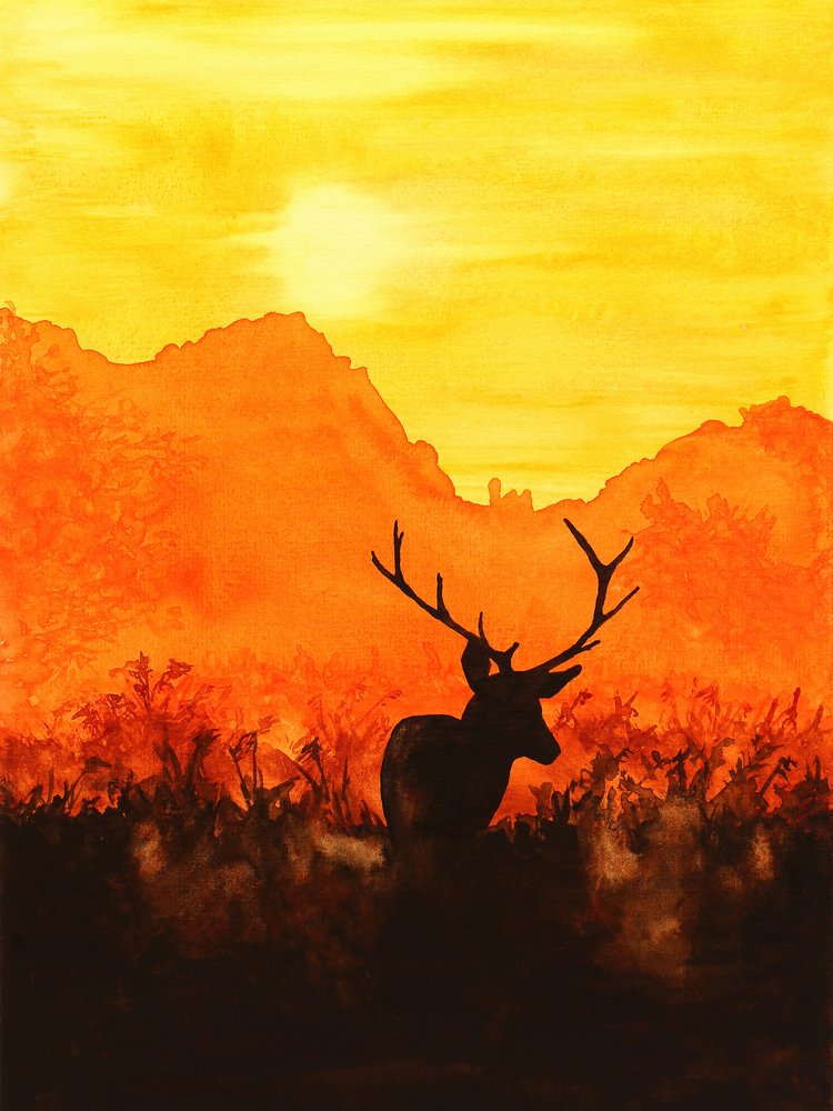 Silhouette d