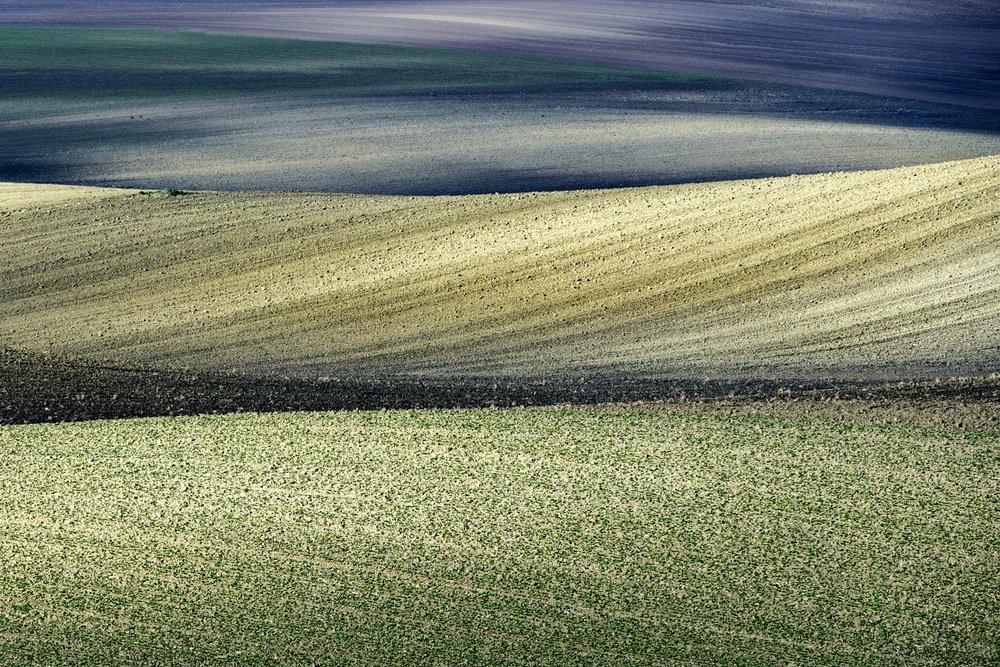  - Nicola Figliuolo