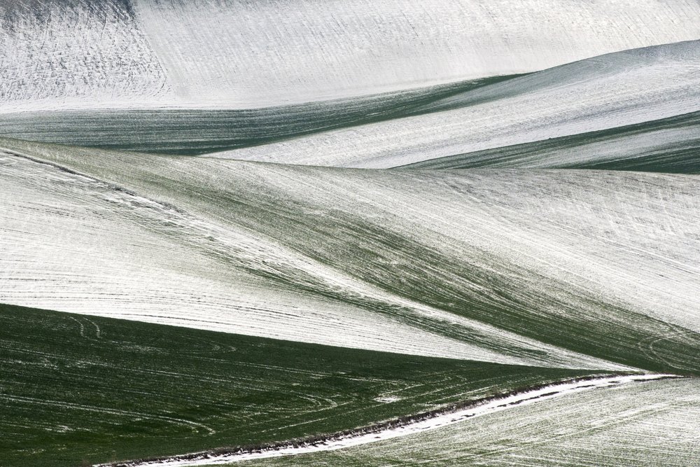  - Nicola Figliuolo