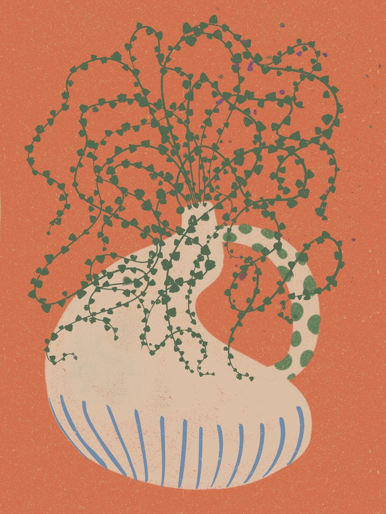 Plante retombante verte - Nikita Jariwala