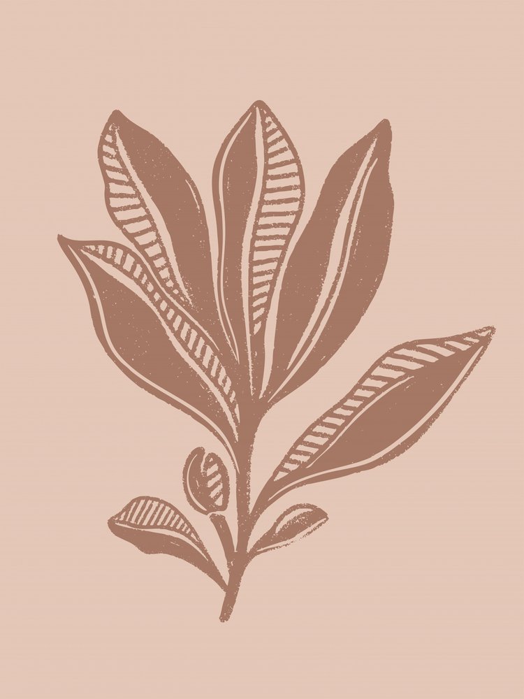 Dessin botanique naturel - Nikita Jariwala