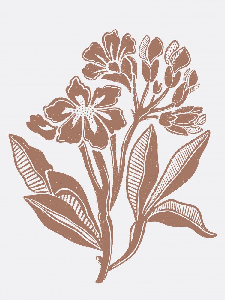 Illustration florale rustique - Nikita Jariwala