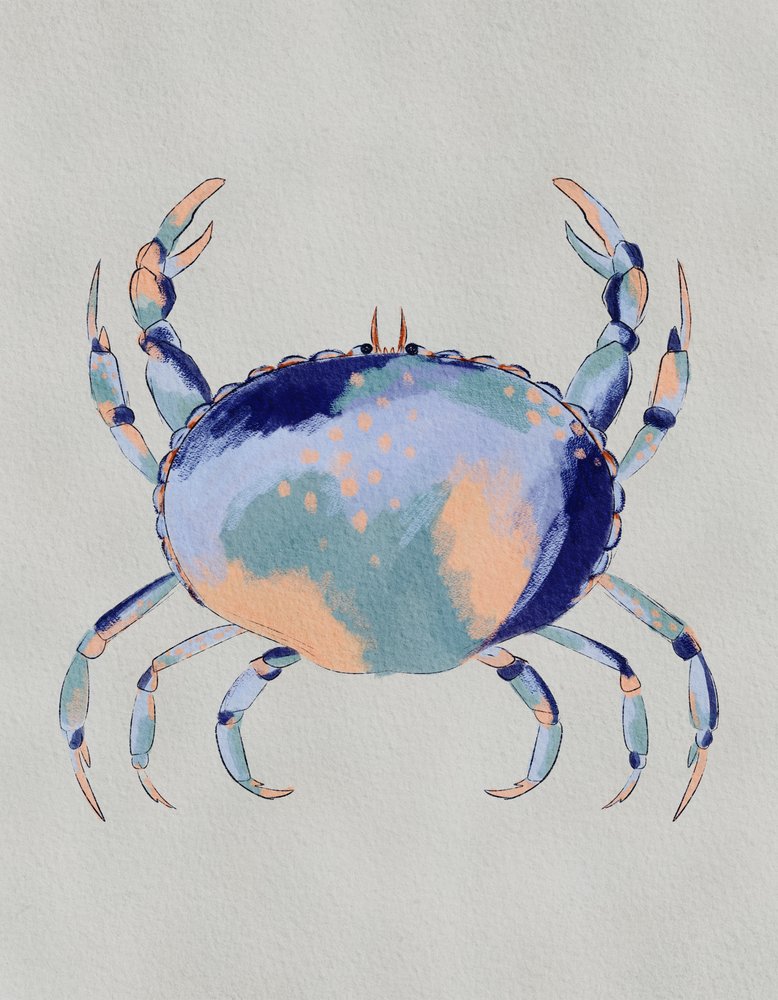 Le crabe bleu serein - Nikita Jariwala
