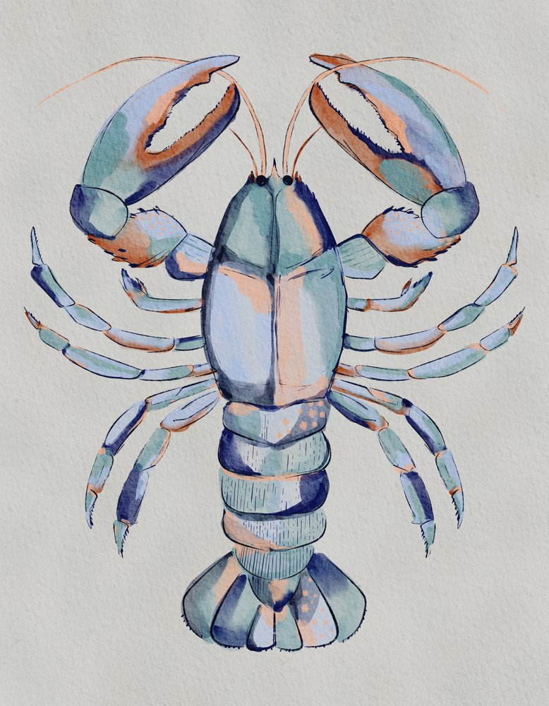 Homard bleu à l