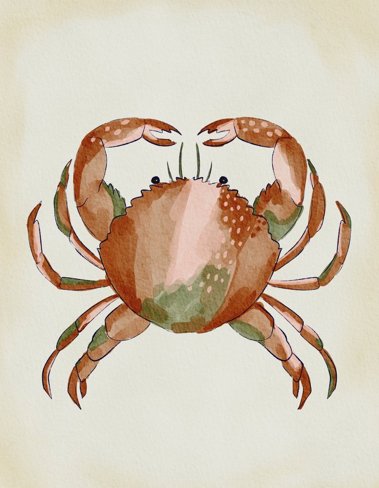 Crabe à l