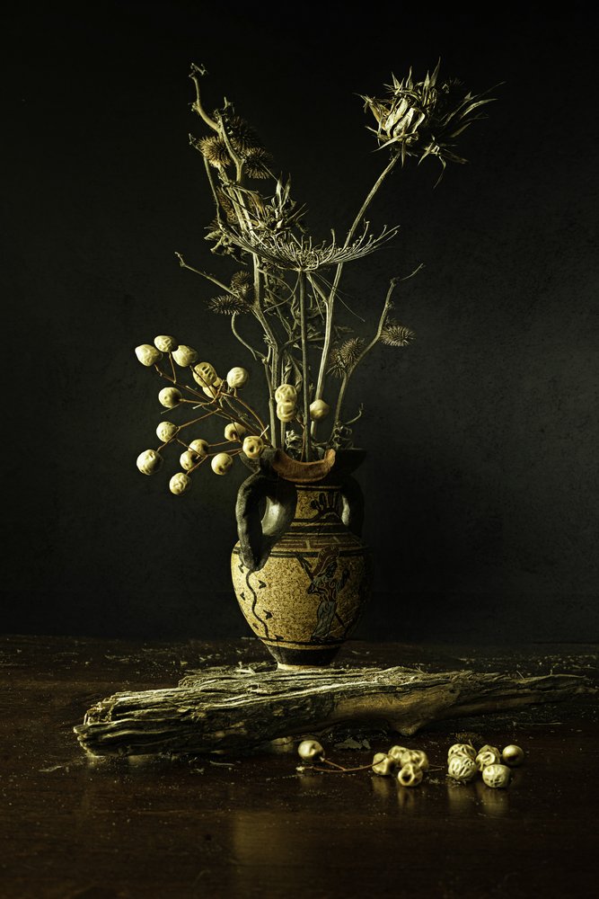 Nature morte botanique aux tons terreux - Noam Mymon