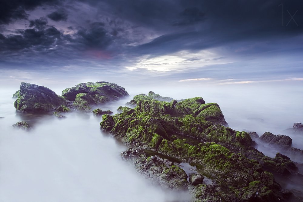 Paysage marin éthéré et moussu - Nuno Araujo