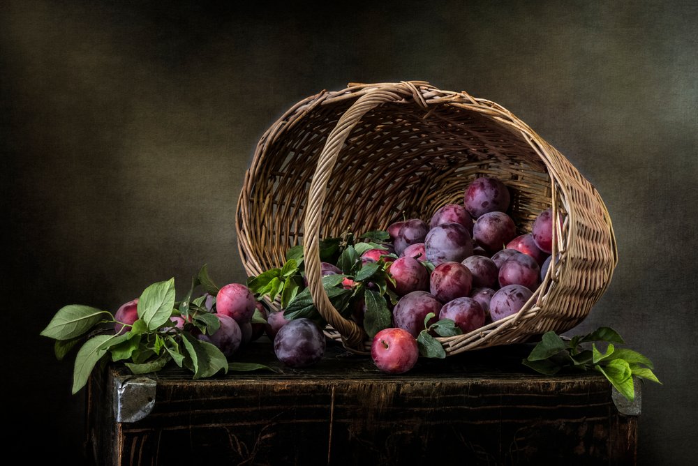 Nature morte aux prunes noires - Olga Aleksandrovna